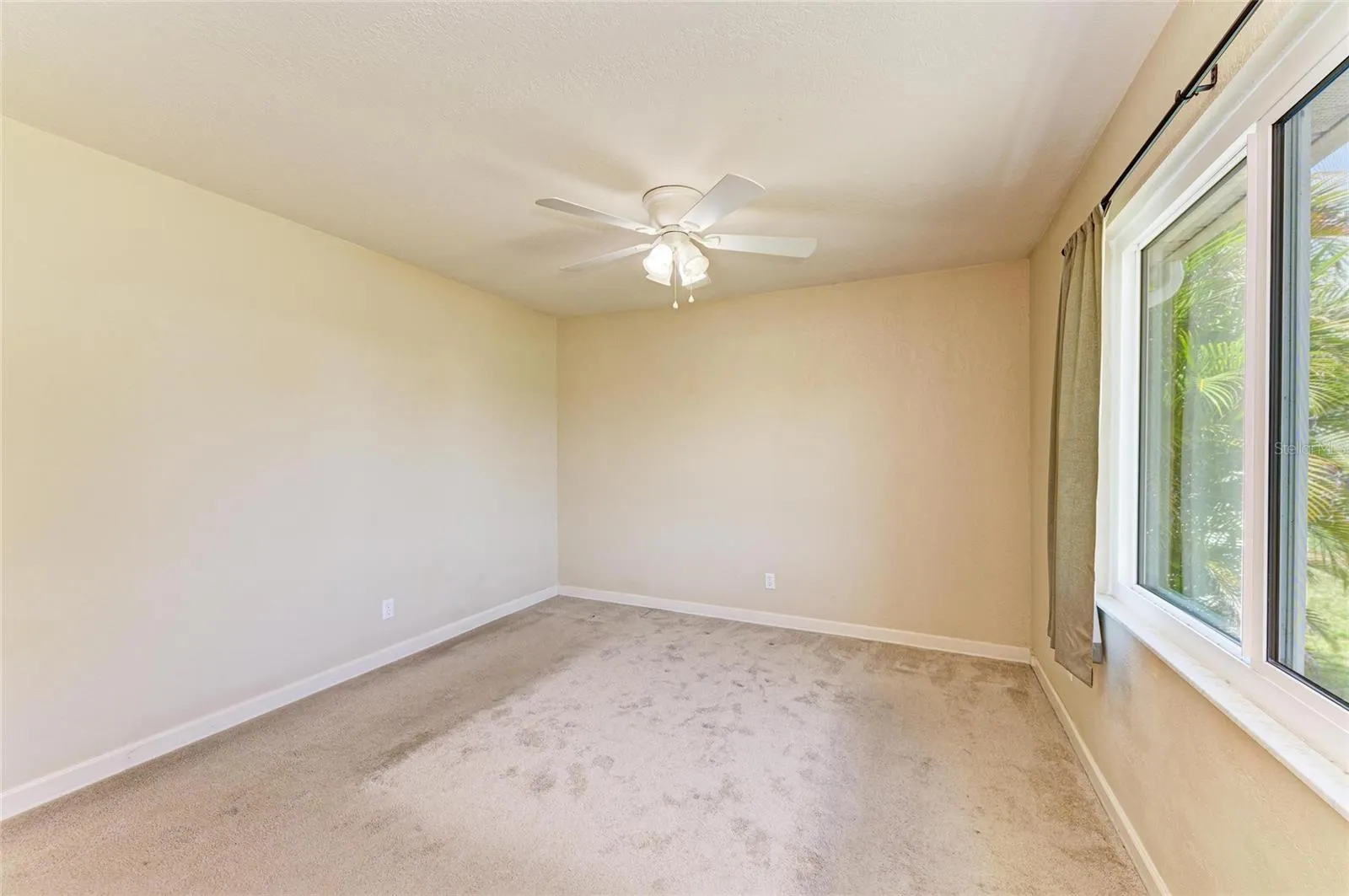 15 TULANE RD