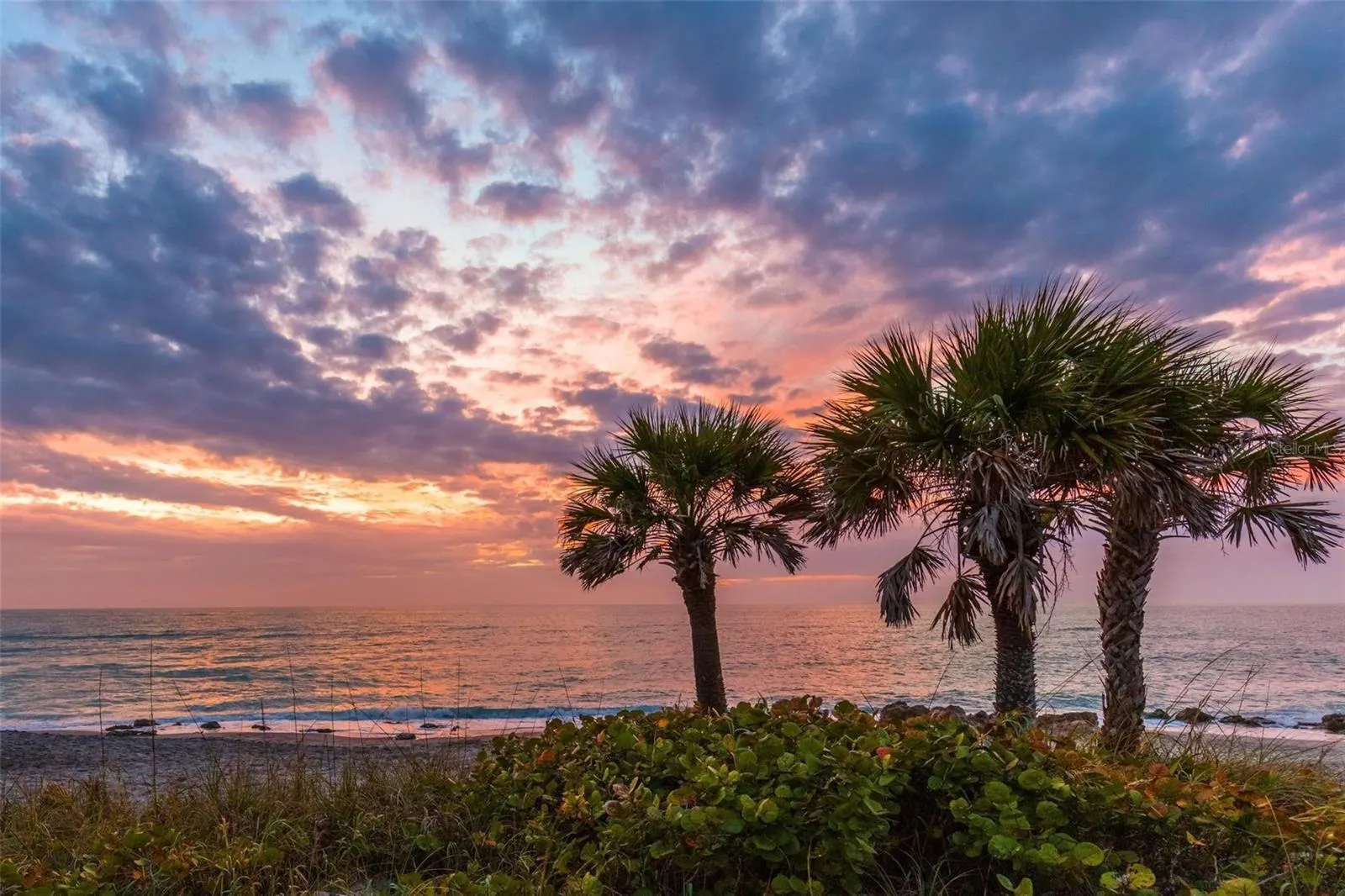 147 TAMPA AVE E #304, #304