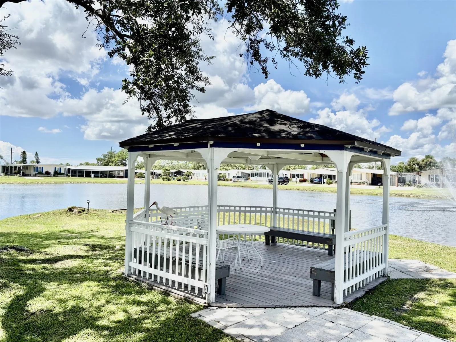 113 RAROTONGA RD