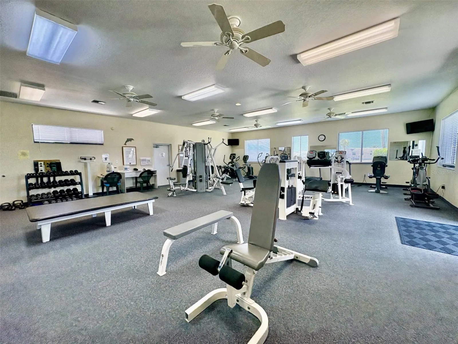 113 RAROTONGA RD