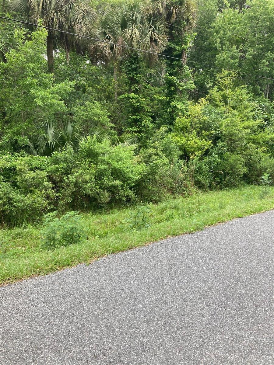 TBD MAGNOLIA DR