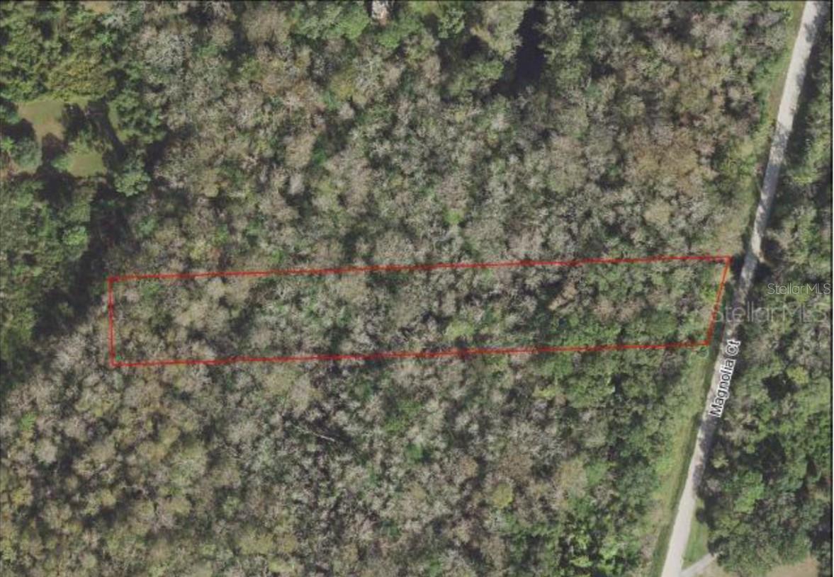 TBD MAGNOLIA DR