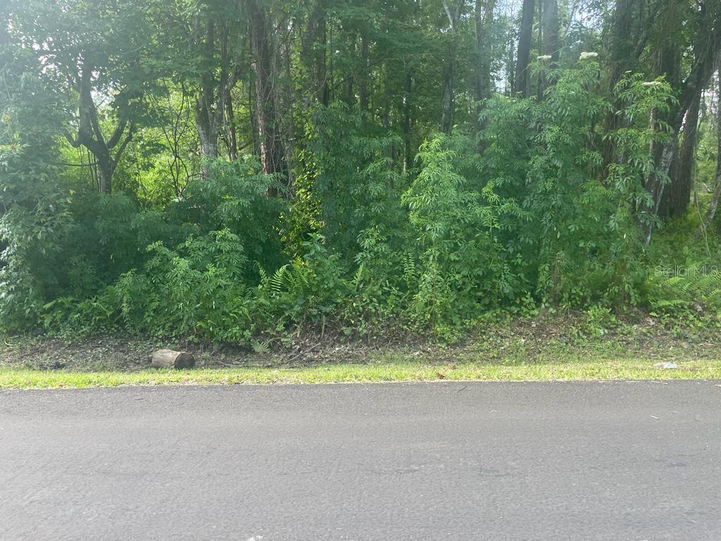 5084 HIBISCUS RD