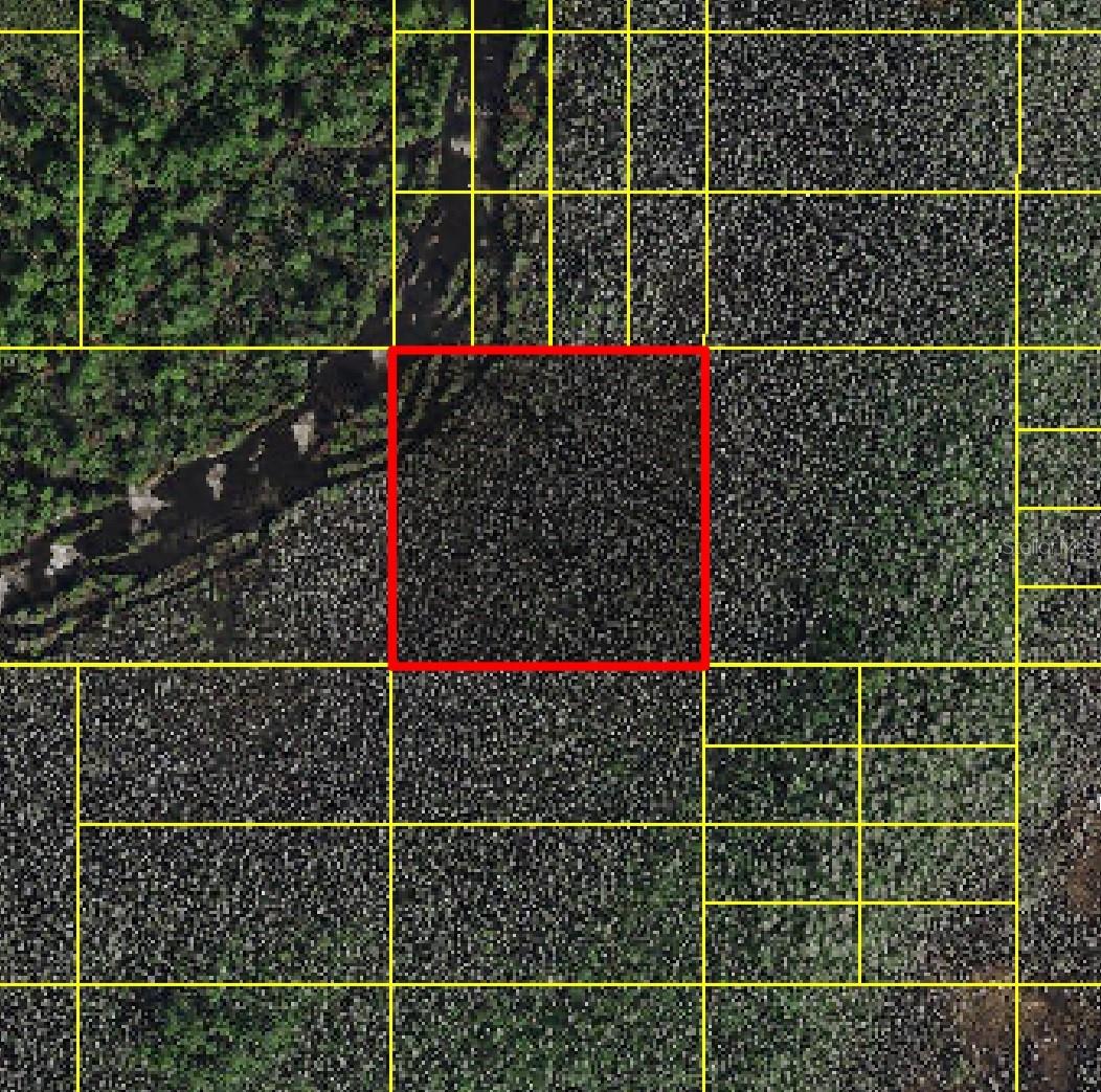HOLOPAW GROVES RD