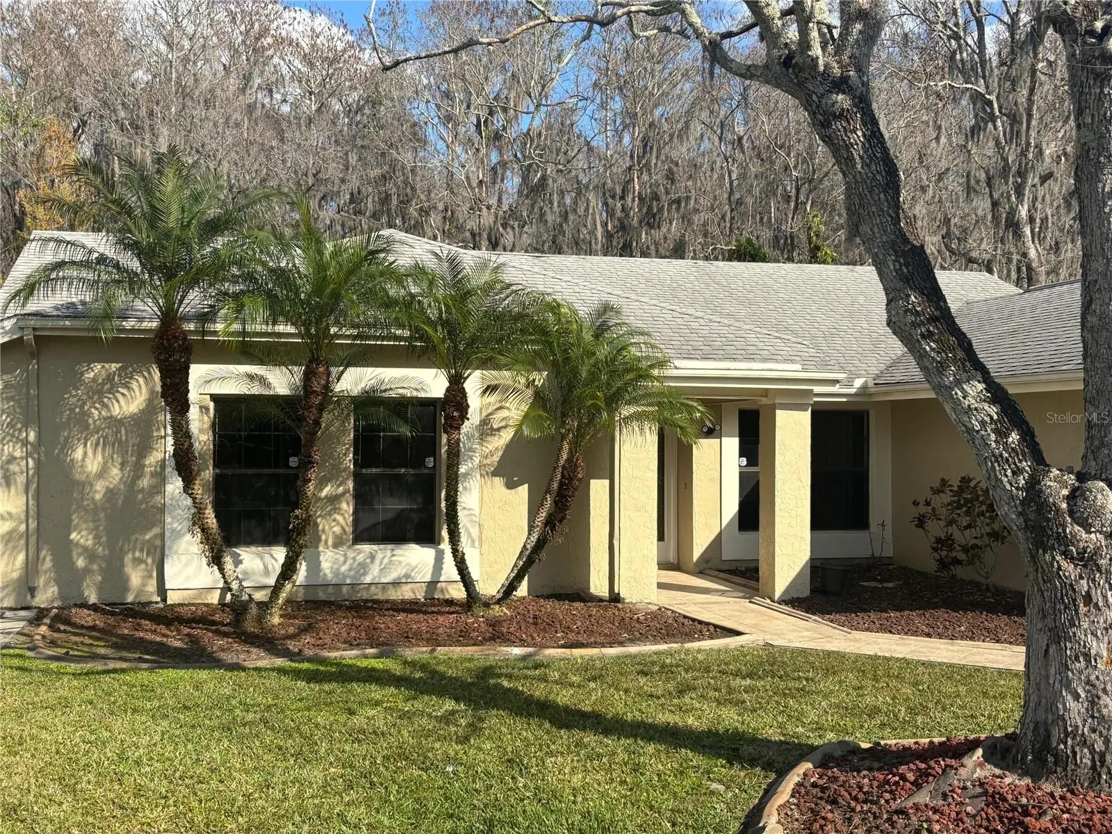 2602 TALON CT