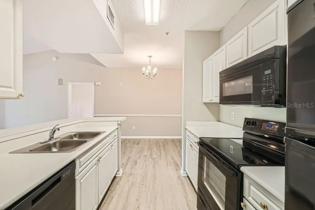 14238 FREDRICKSBURG DR #310, #310
