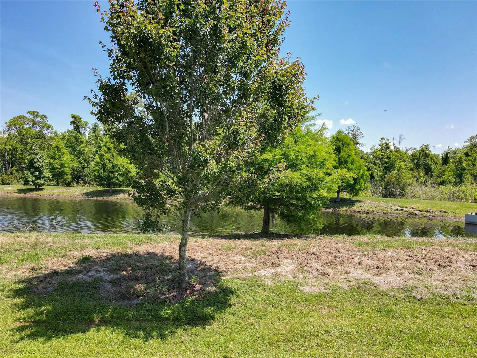 12822 MOSS PARK RIDGE DR
