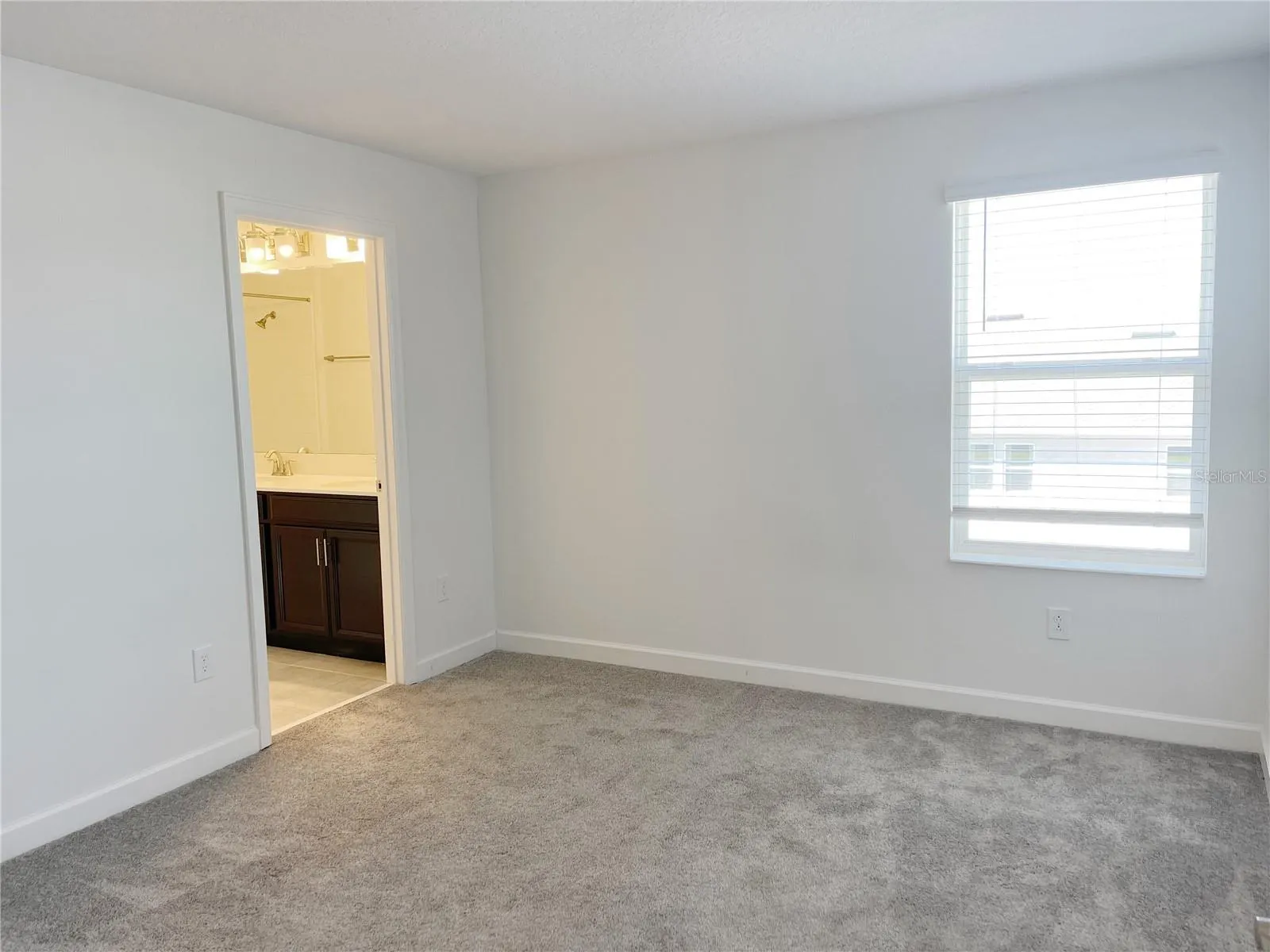 11070 LONGLEAF WOODS DR