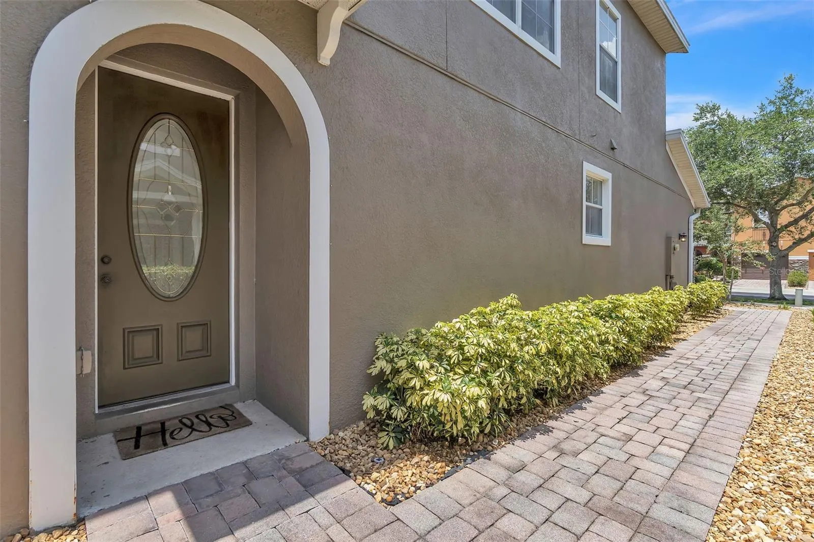 9462 SILVER BUTTONWOOD ST
