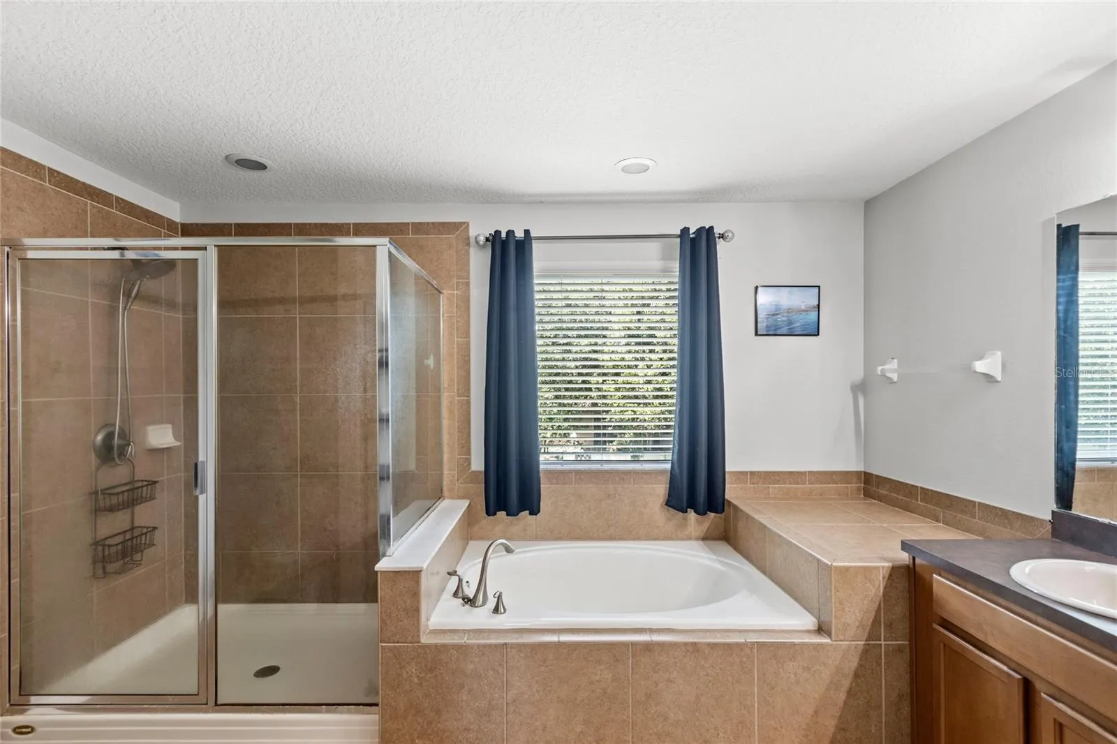 13141 MOSS PARK RIDGE DR
