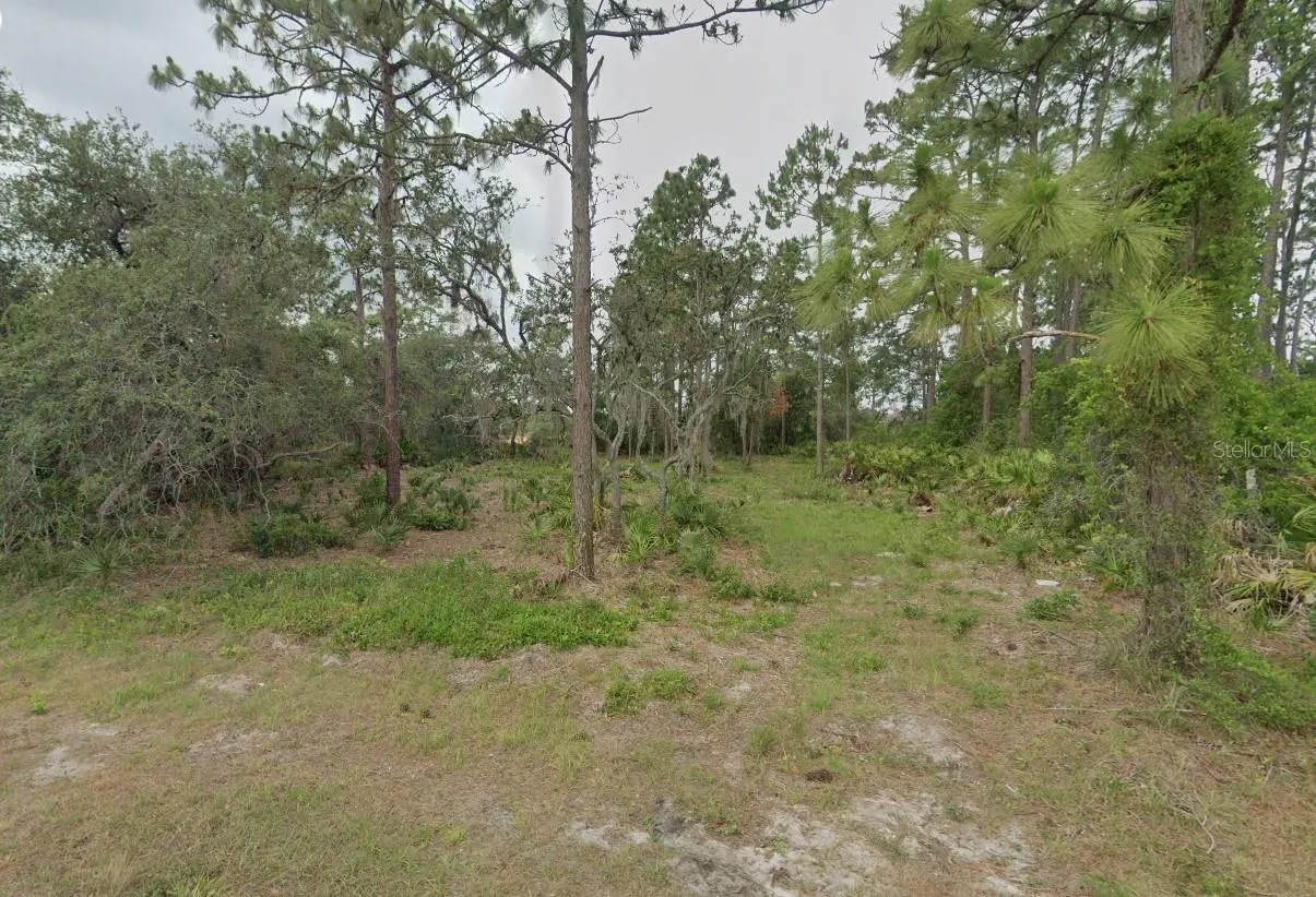 4541 SAN LORENZO DR