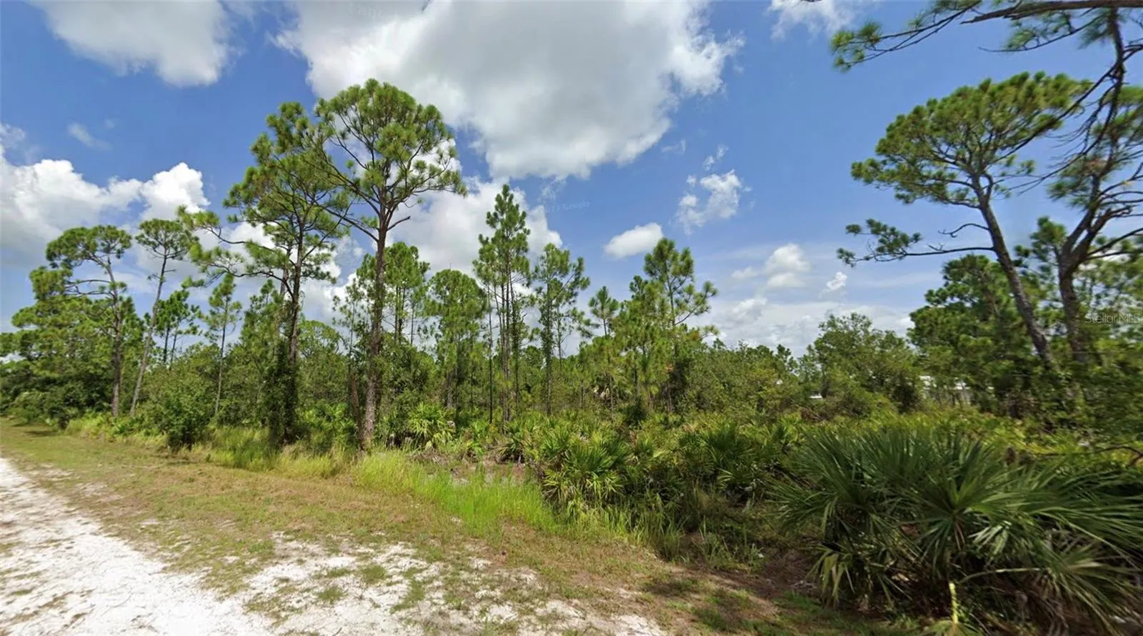 27424 NASSAU DR