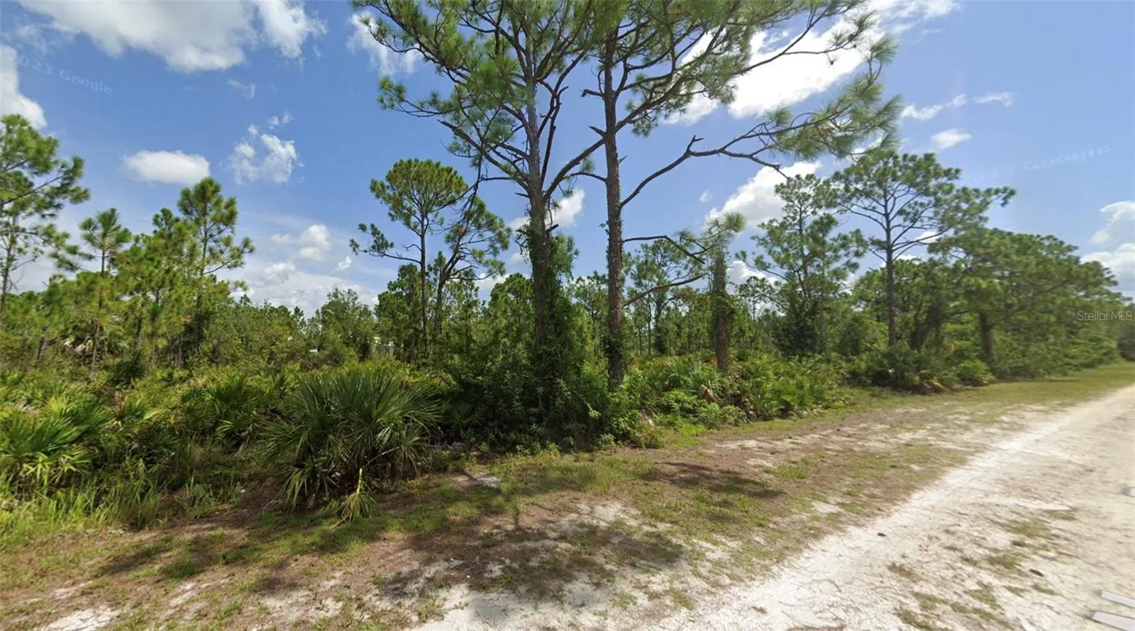 27424 NASSAU DR