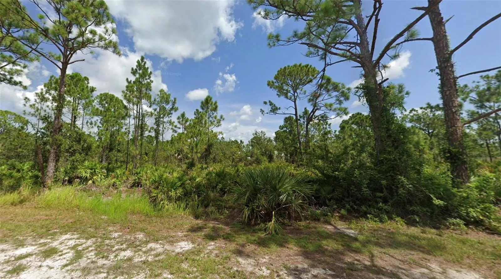 27424 NASSAU DR