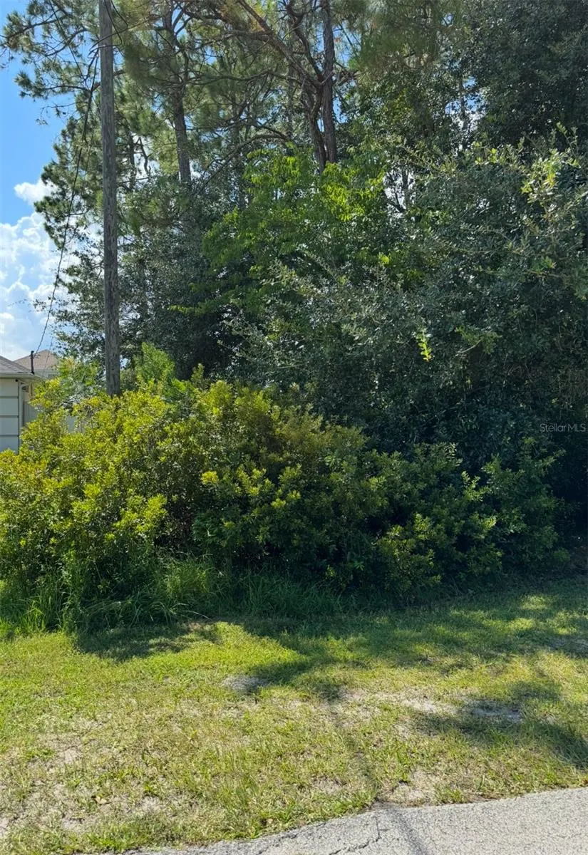 11 SELWYN PL