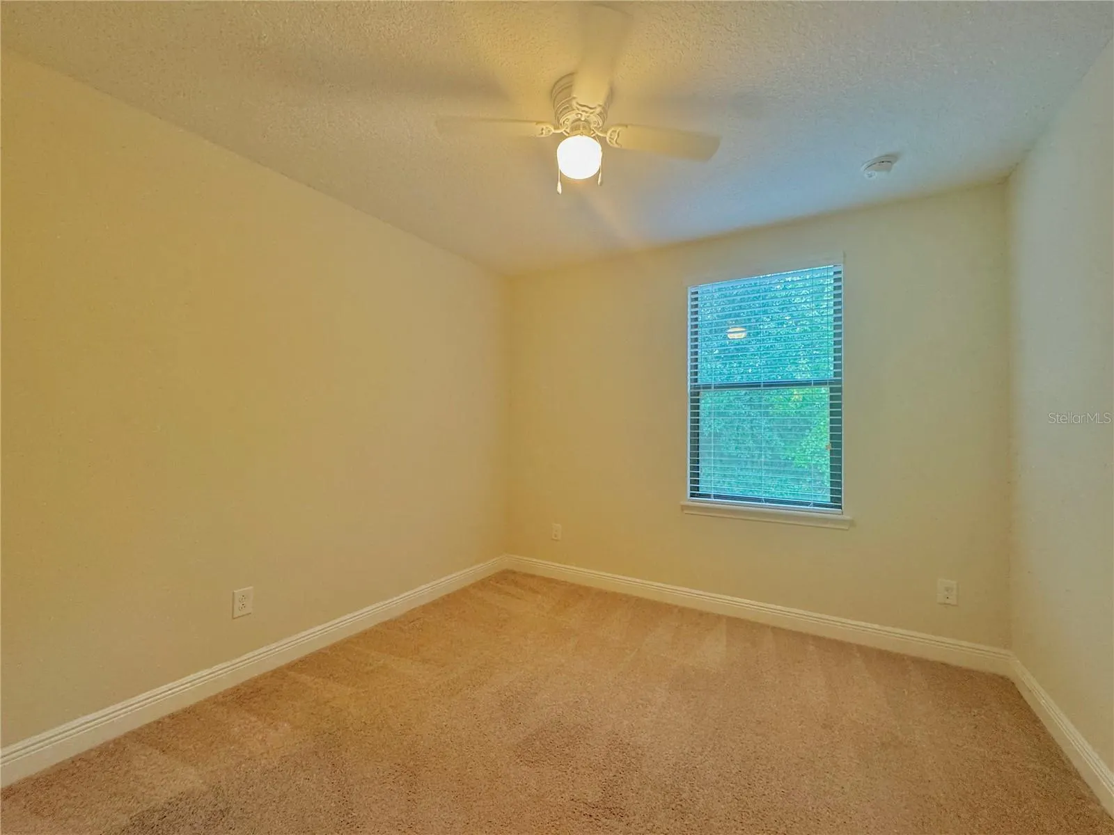 8161 ROSEVILLE RD