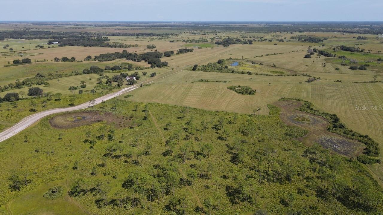 HWY 98
