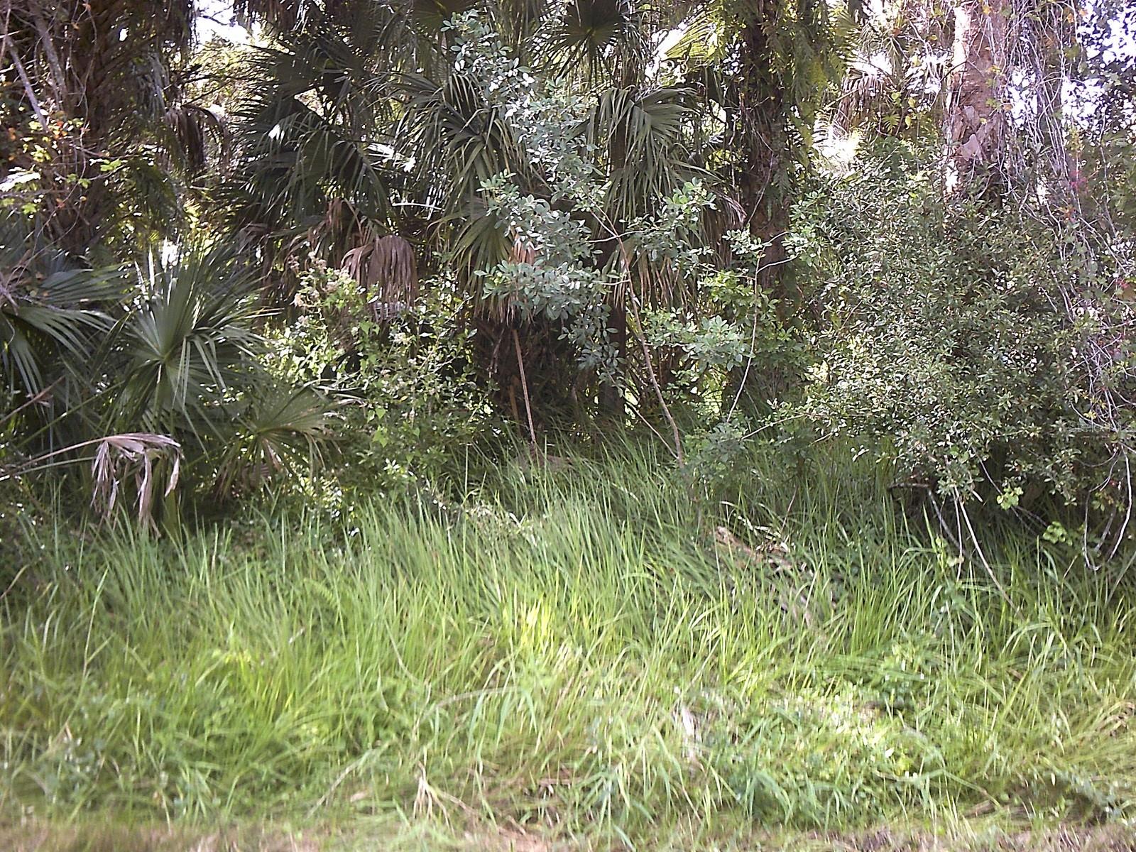 3535 NW 39TH AVE