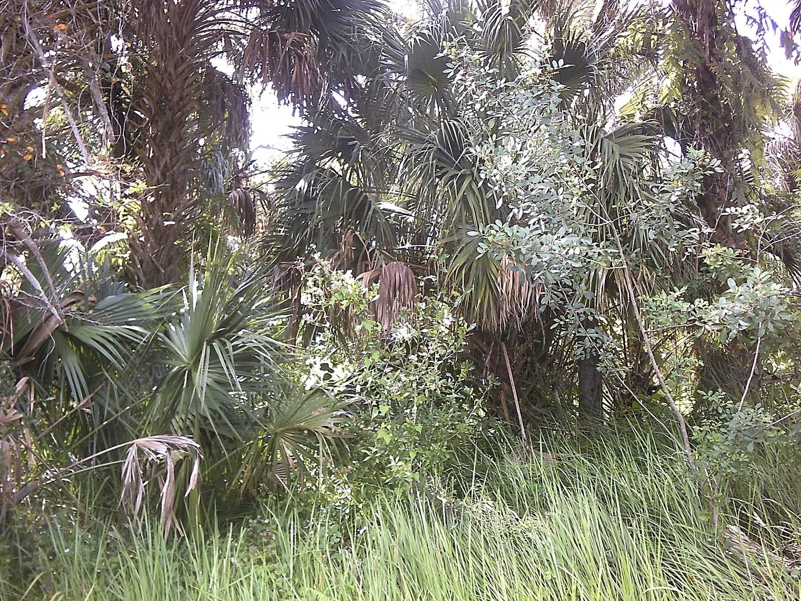 3535 NW 39TH AVE