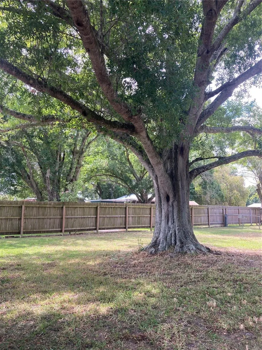 1214 ALLIGATOR RD