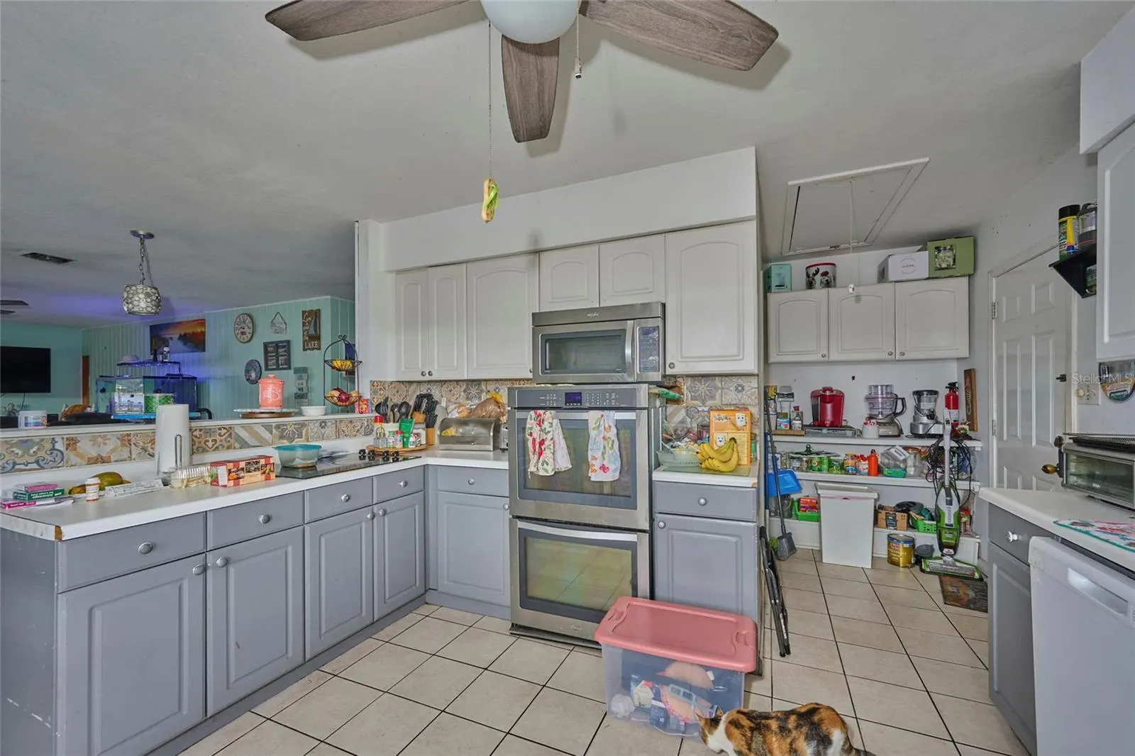 253 BLACKWELL VILLA CV