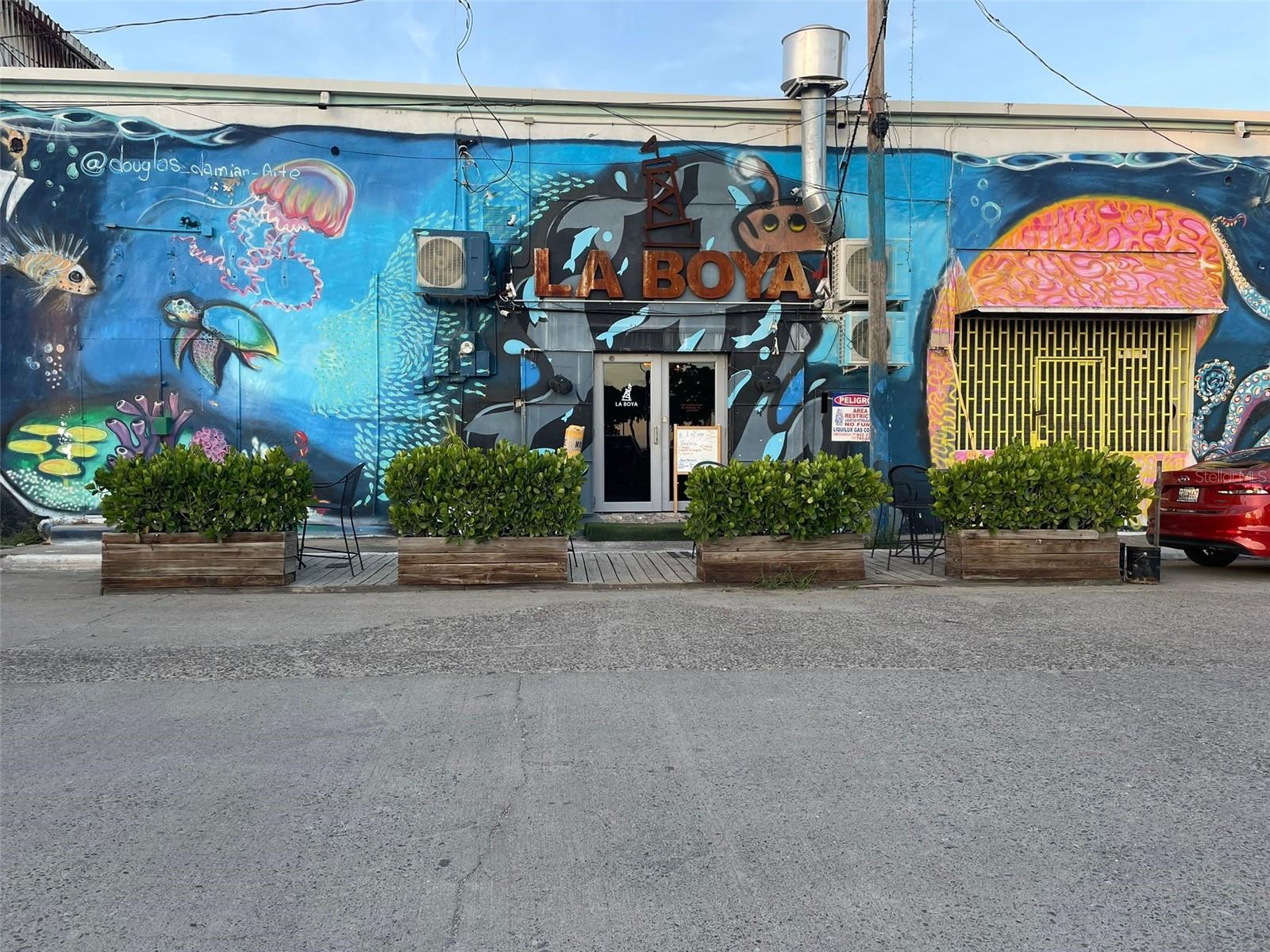 #45 Playa de Ponce SALMON ST