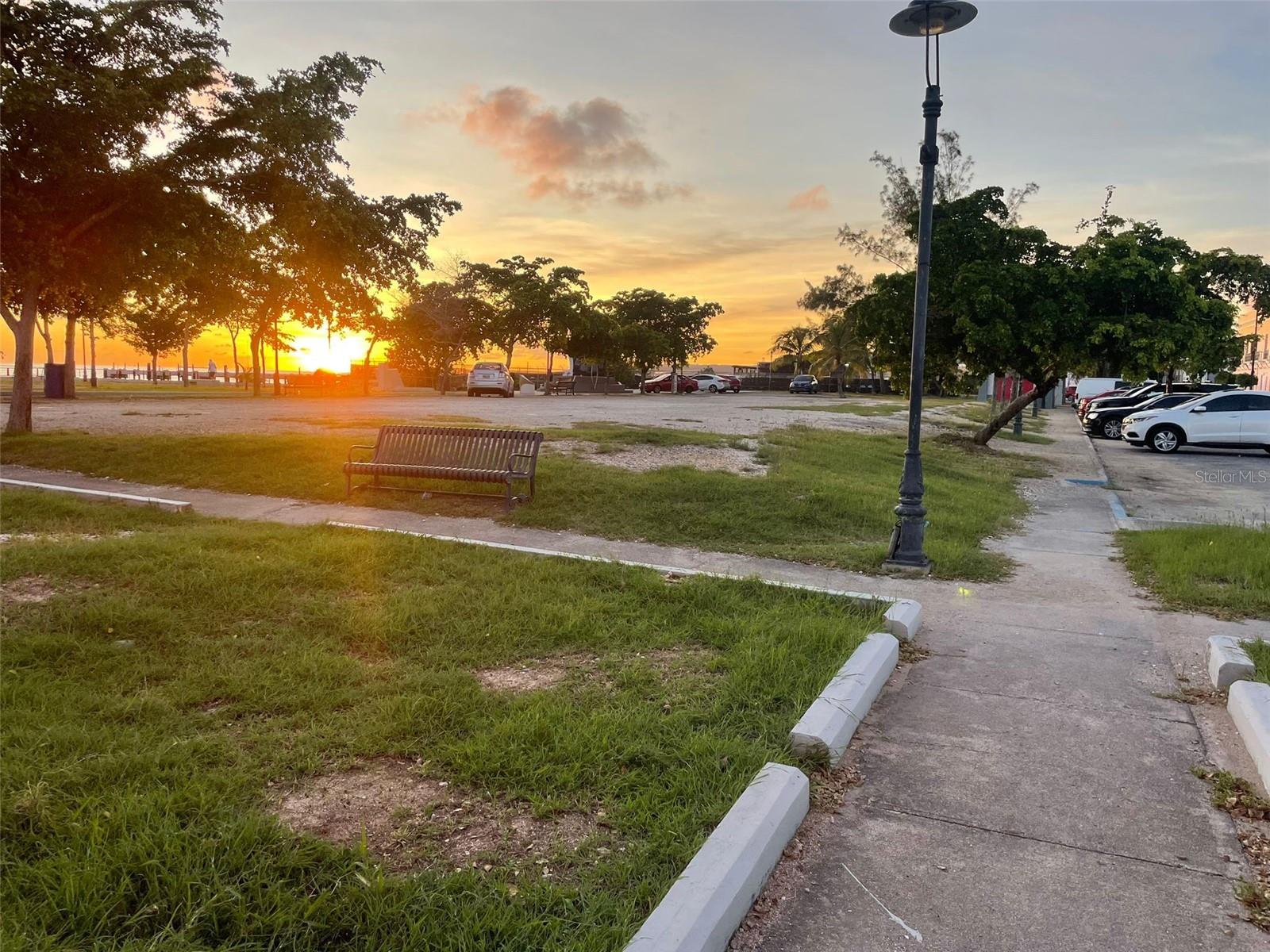 #45 Playa de Ponce SALMON ST