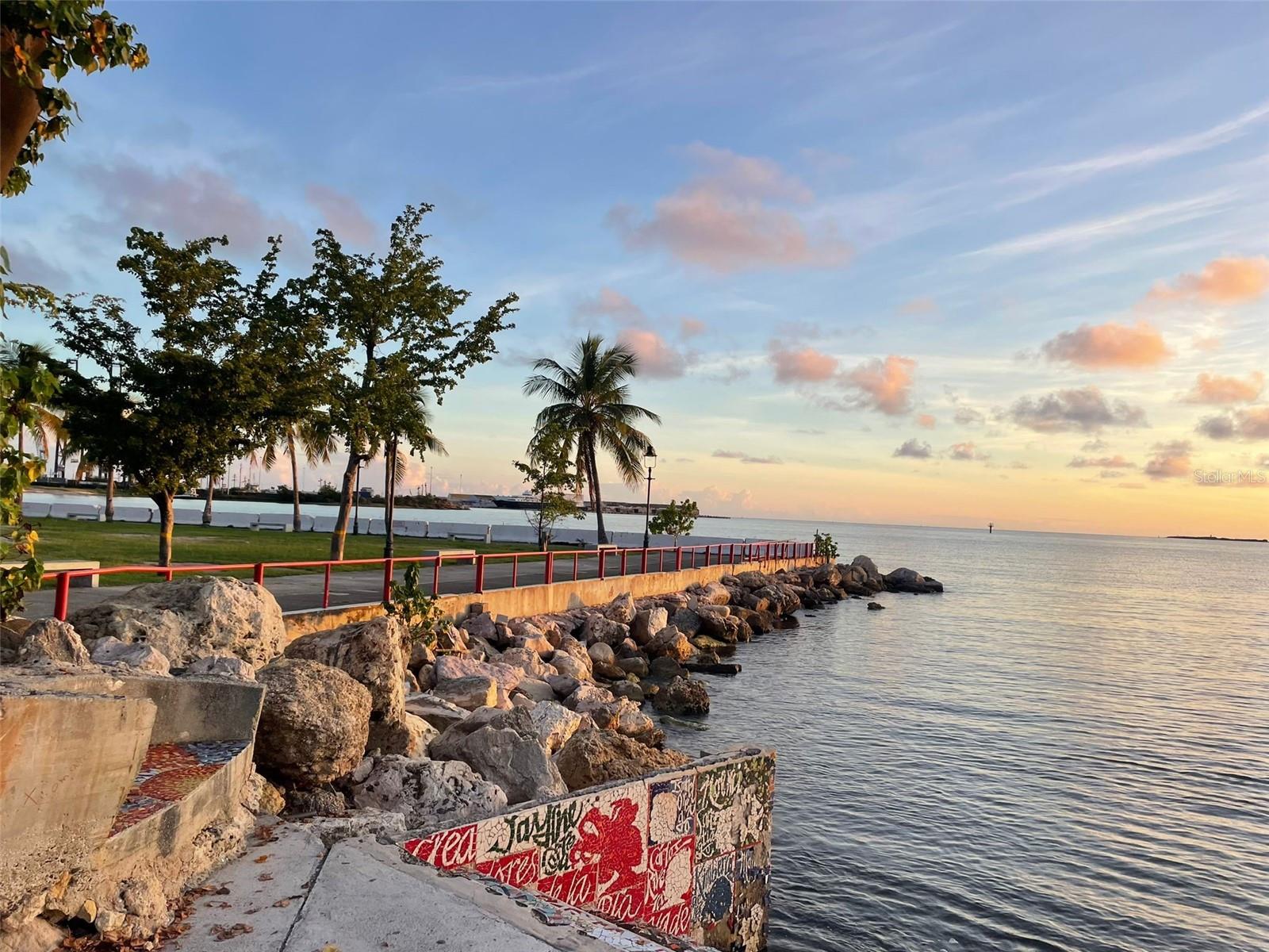 #45 Playa de Ponce SALMON ST