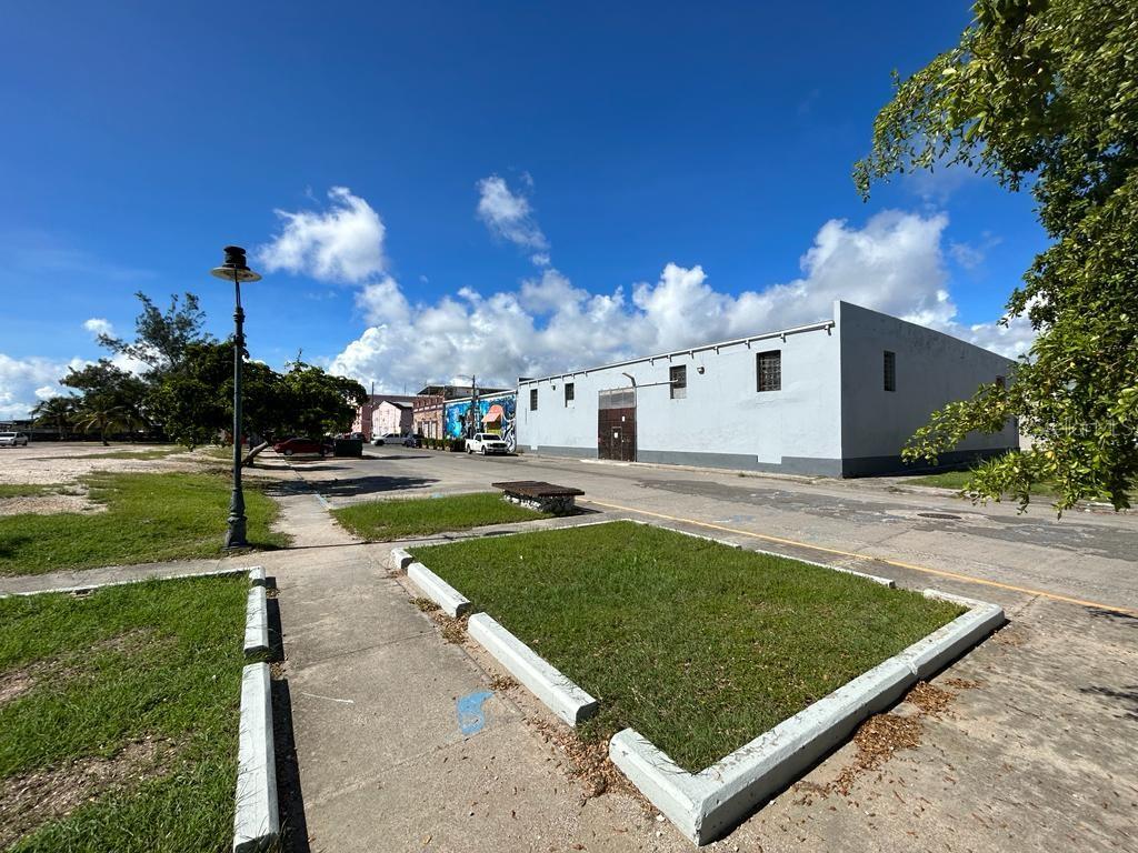 #45 Playa de Ponce SALMON ST