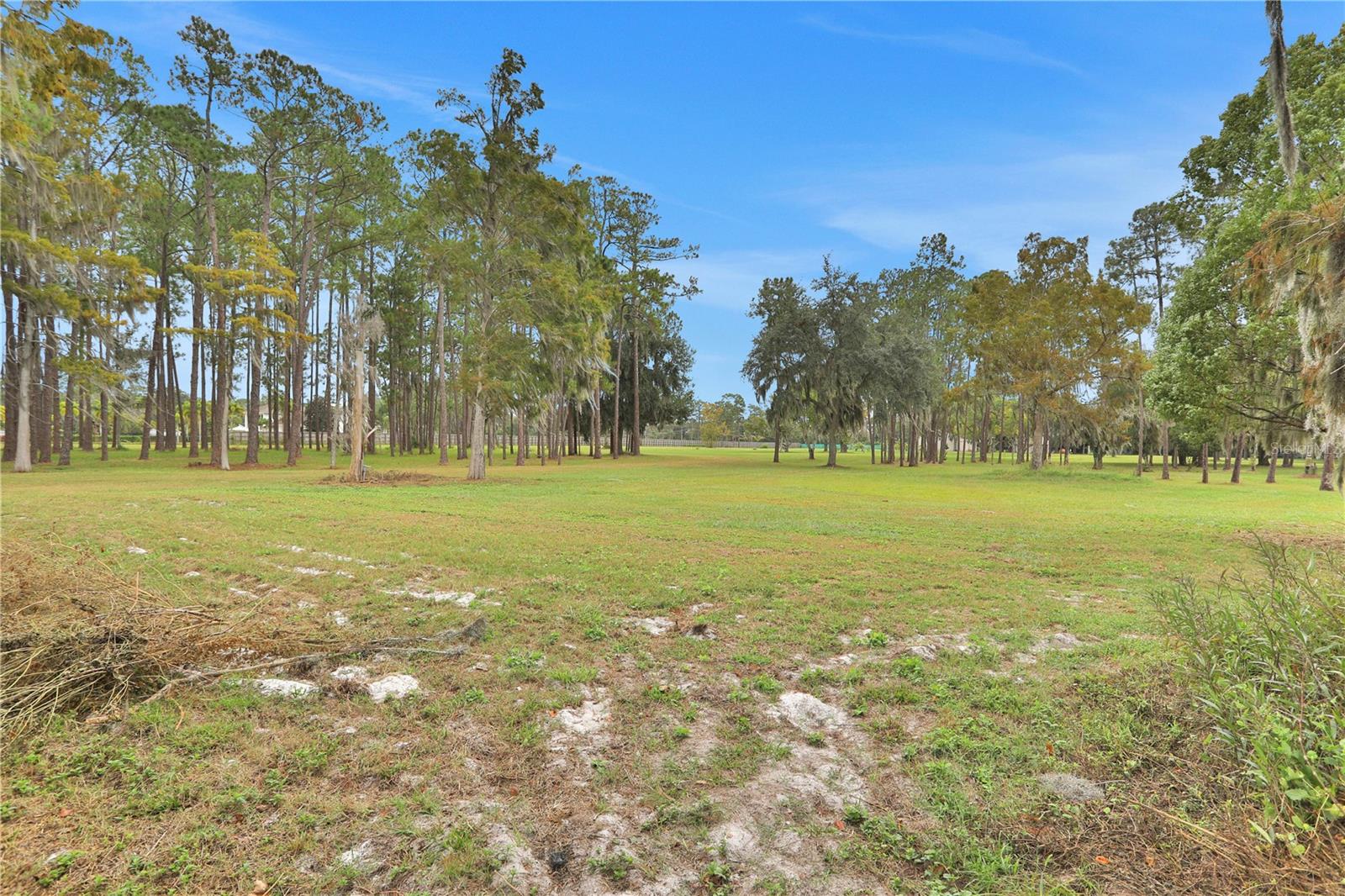 10419 TYSON RD