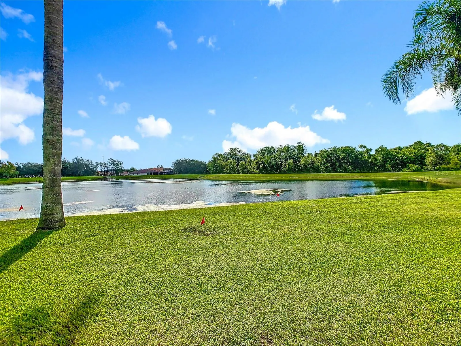 3811 GOLDEN KNOT DR