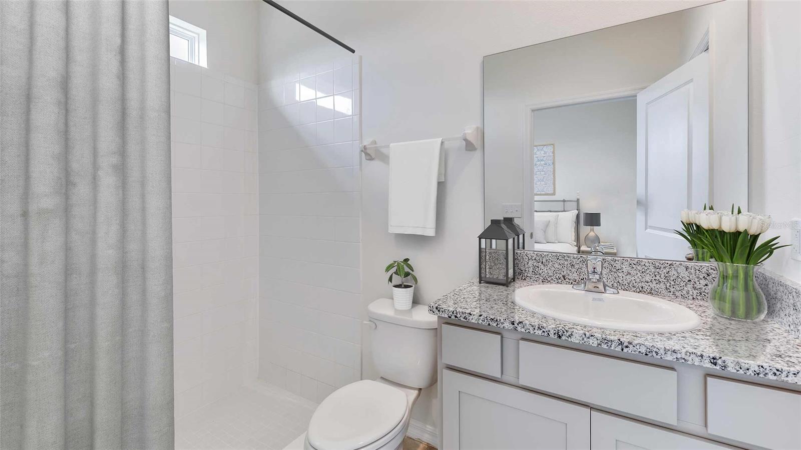 10258 BRIDGEGATE HEIGHTS LOOP