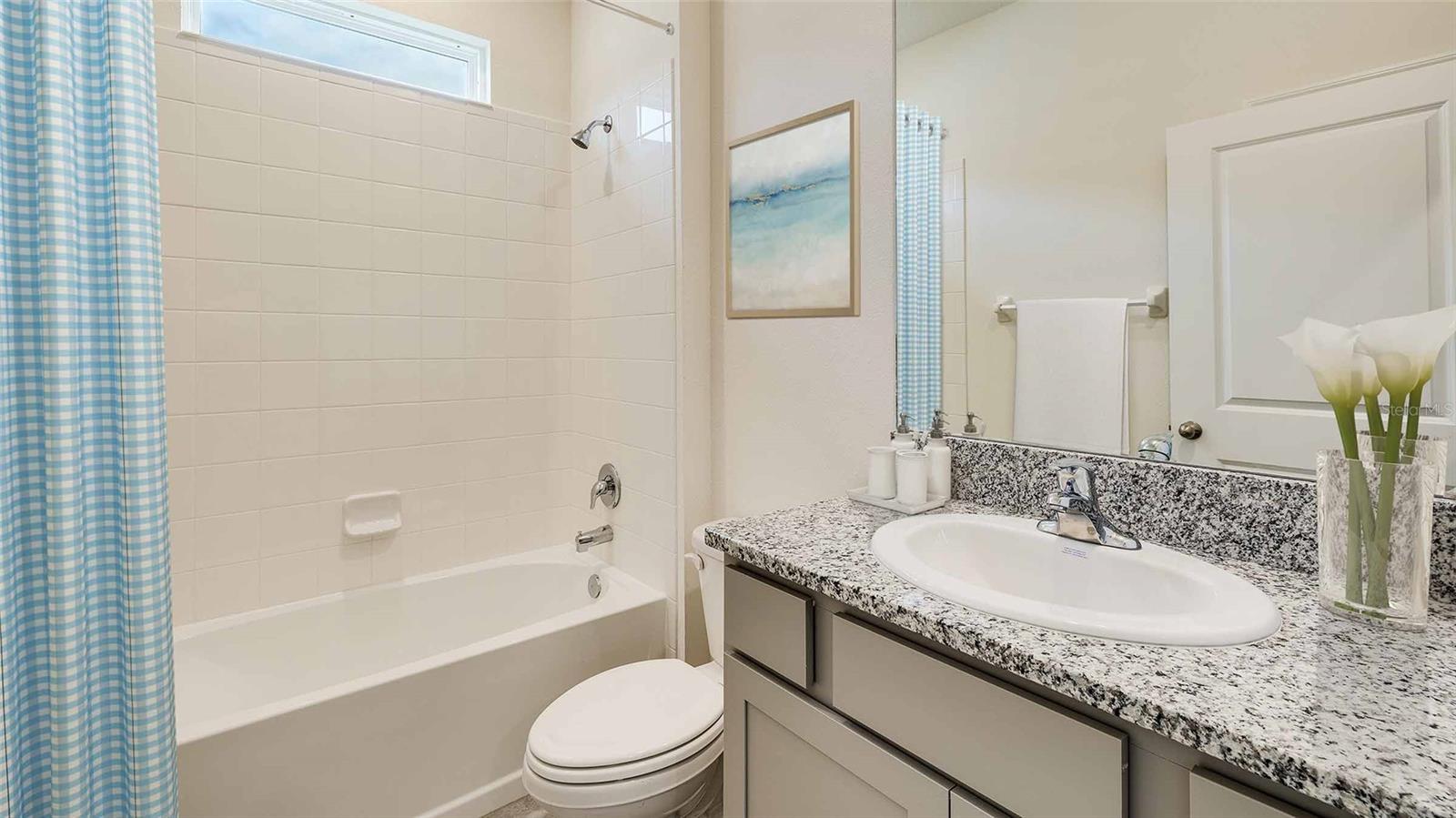 10258 BRIDGEGATE HEIGHTS LOOP