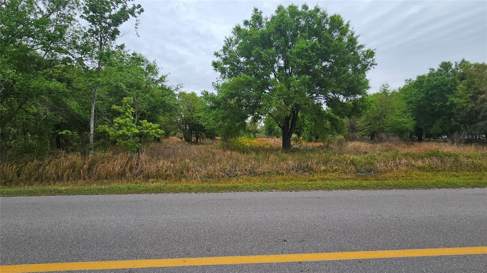 1298 OLD BRADENTON RD
