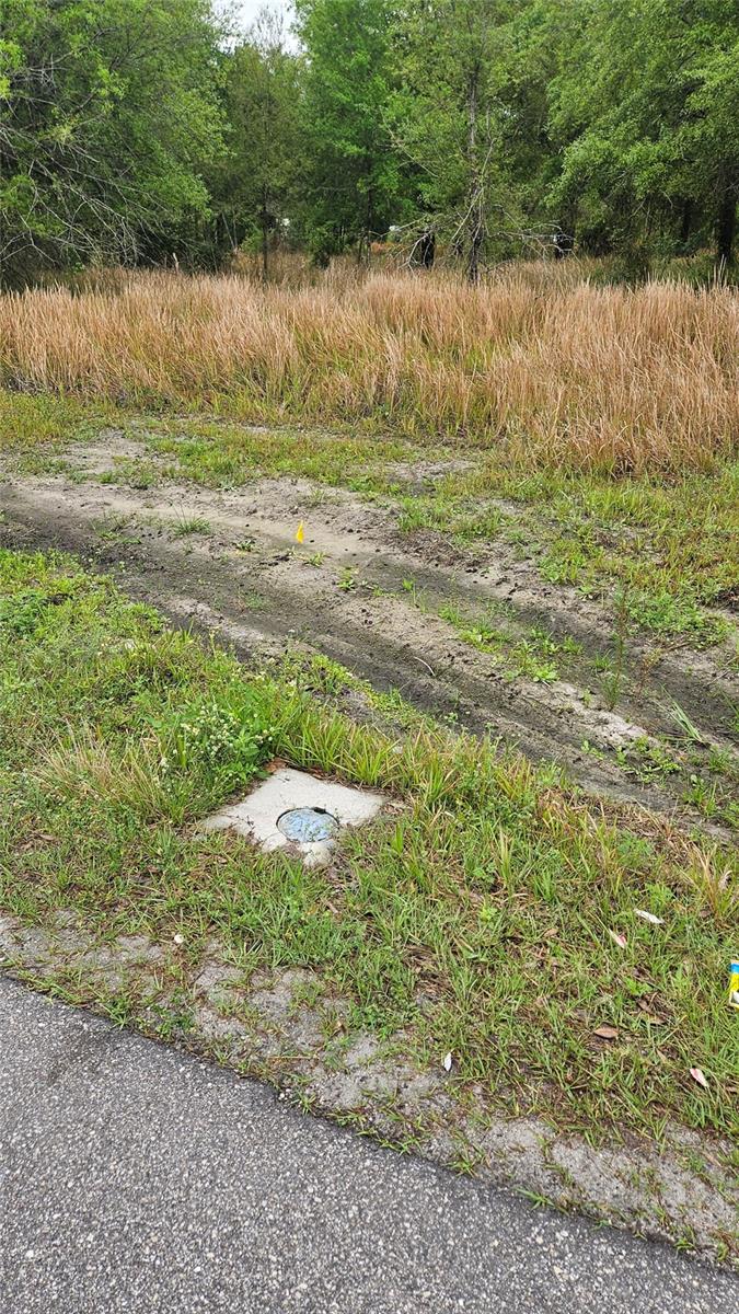 1298 OLD BRADENTON RD