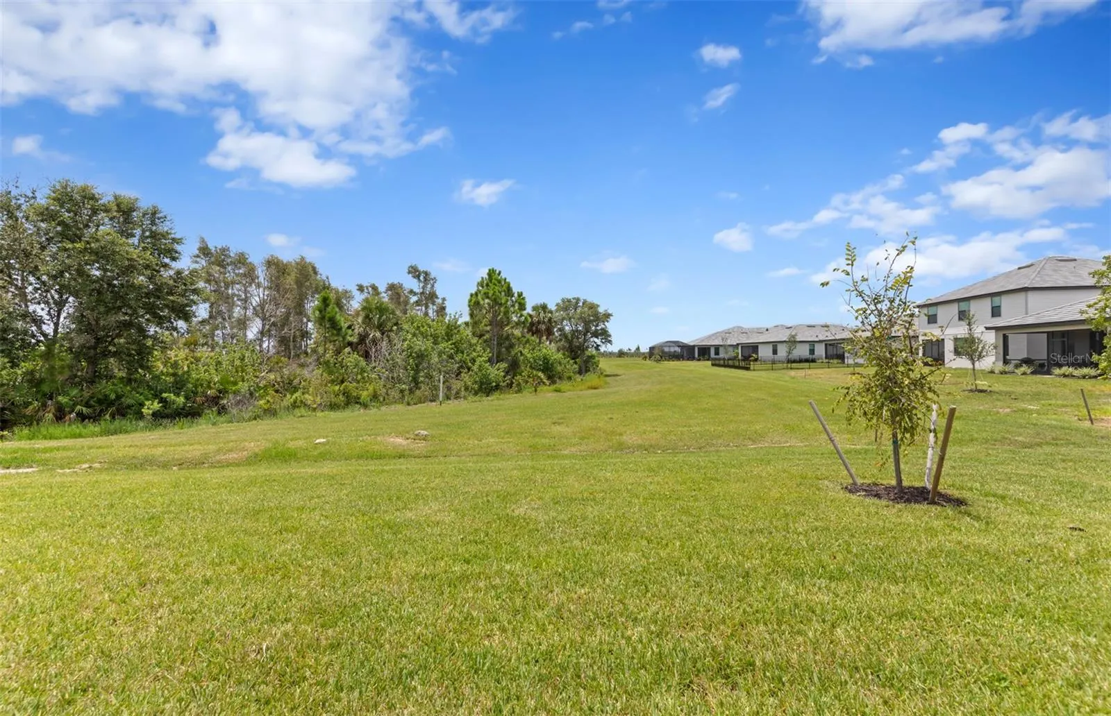 17116 MOONFLOWER DR