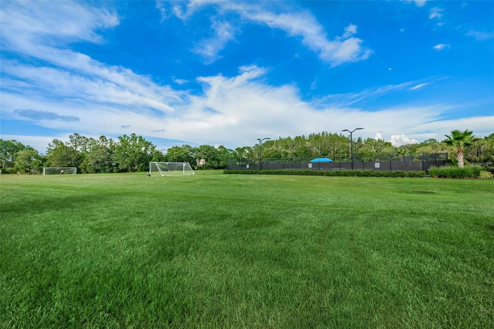 10530 CANARY ISLE DR