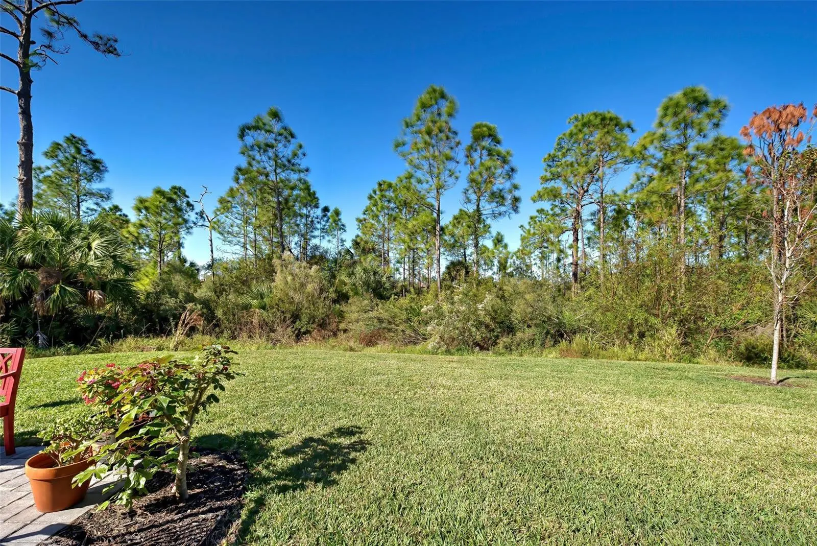 451 DAYLILY BLVD