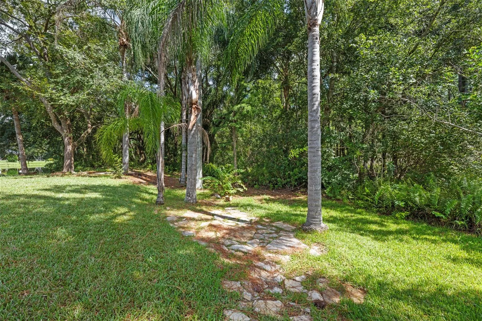 5609 PINEY LANE DR