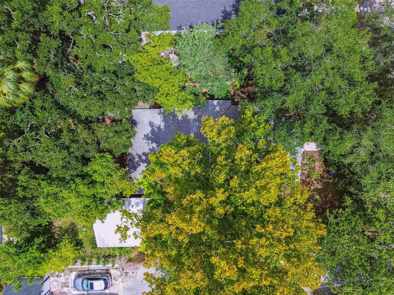 308 E CLIFTON ST