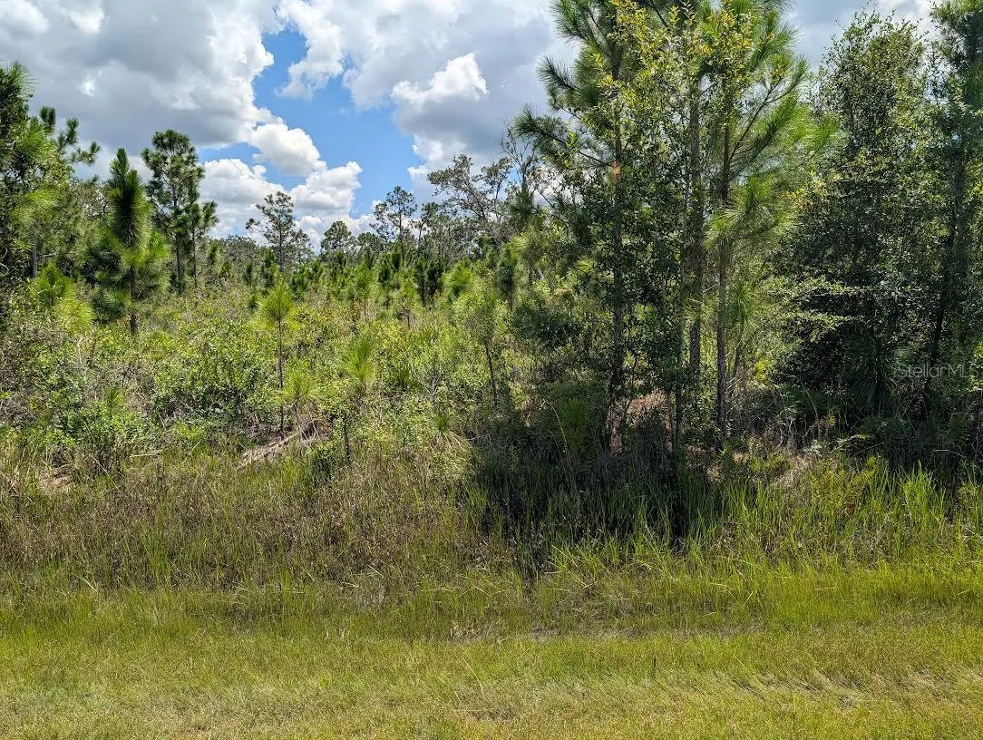 311 HIBISCUS DR