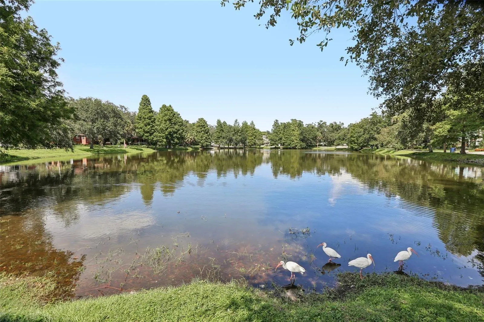 5803 ROBERTA CIR