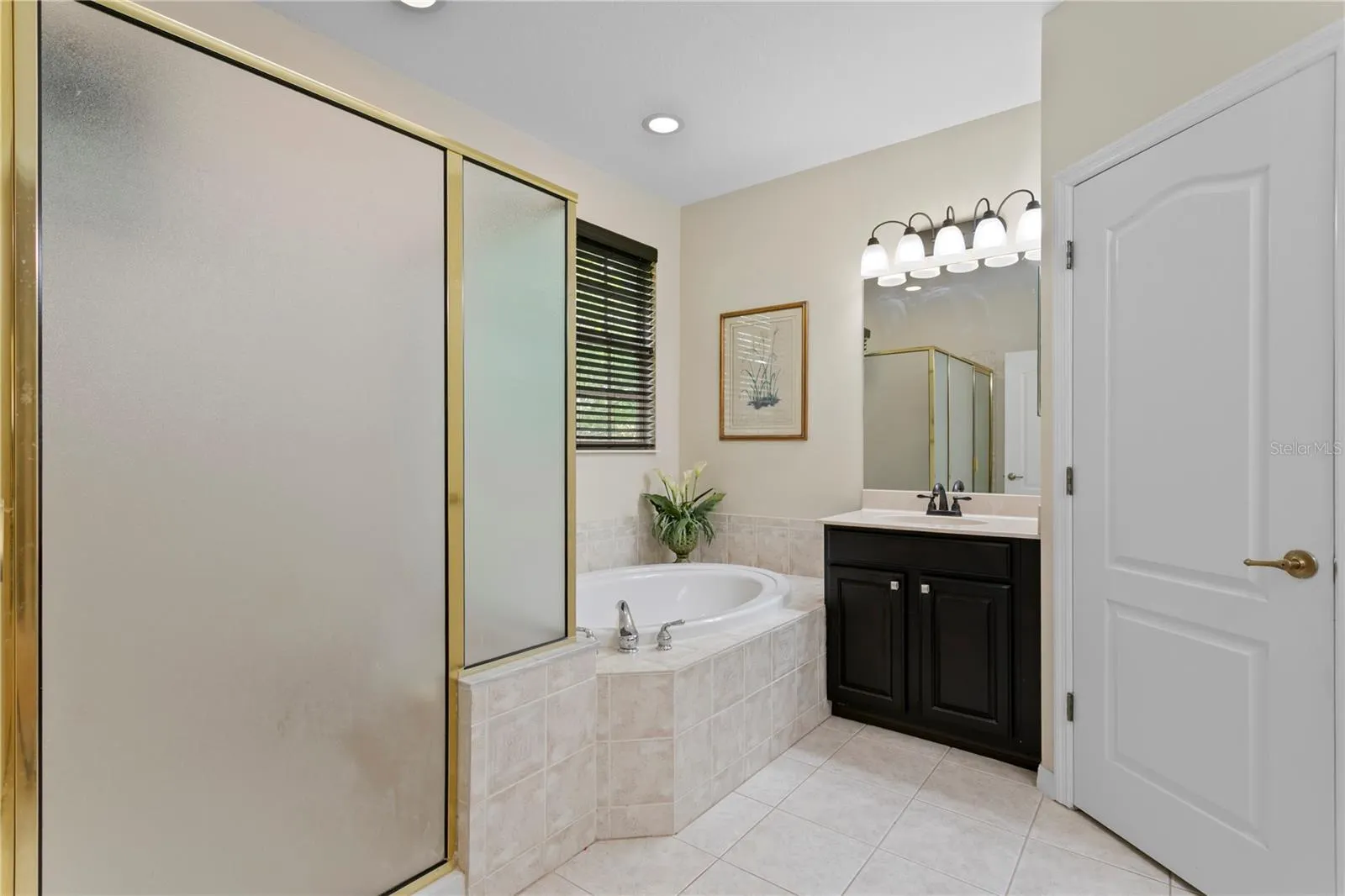 14539 MIRABELLE VISTA CIR