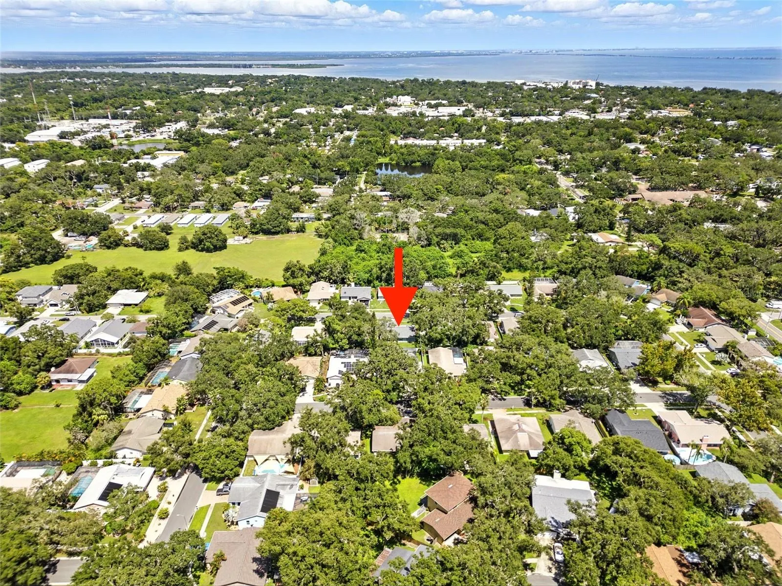 29 HARBOR OAKS CIR