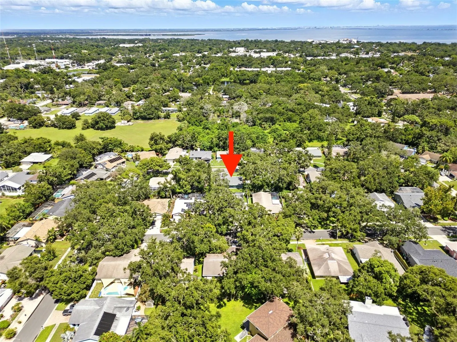 29 HARBOR OAKS CIR