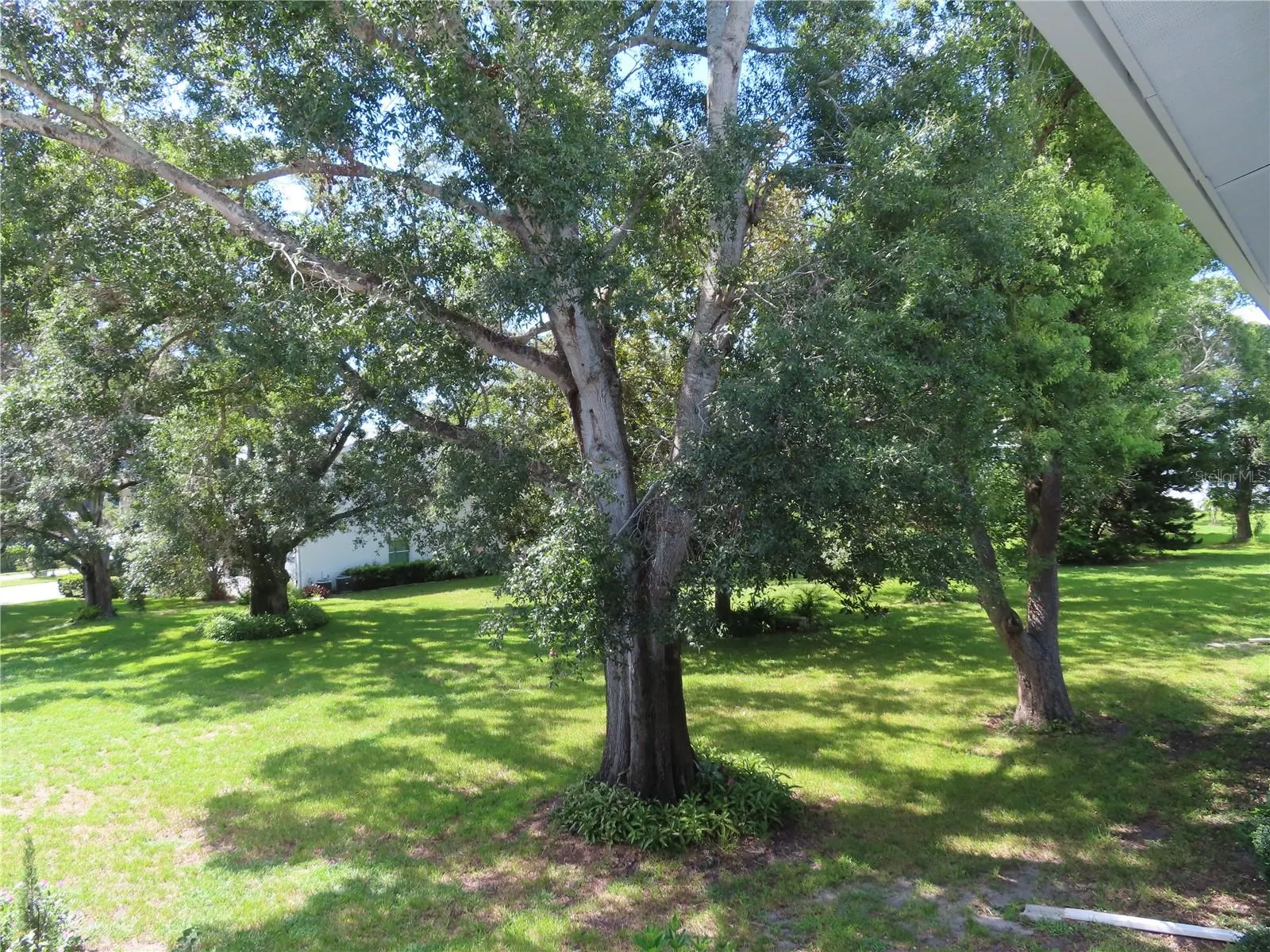 300 CLYDE LN #207, #207