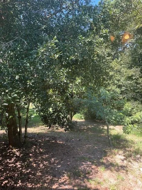 3573 BENITO JUAREZ CIR