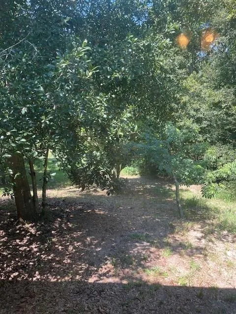3573 BENITO JUAREZ CIR