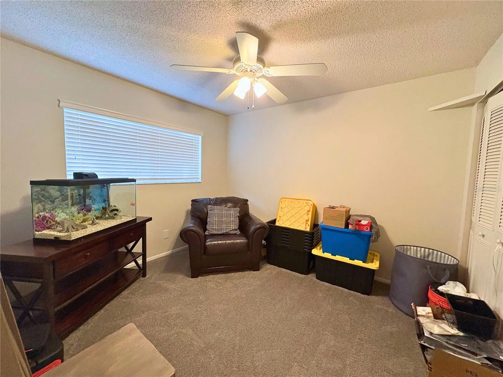 429 EVERGREEN DR