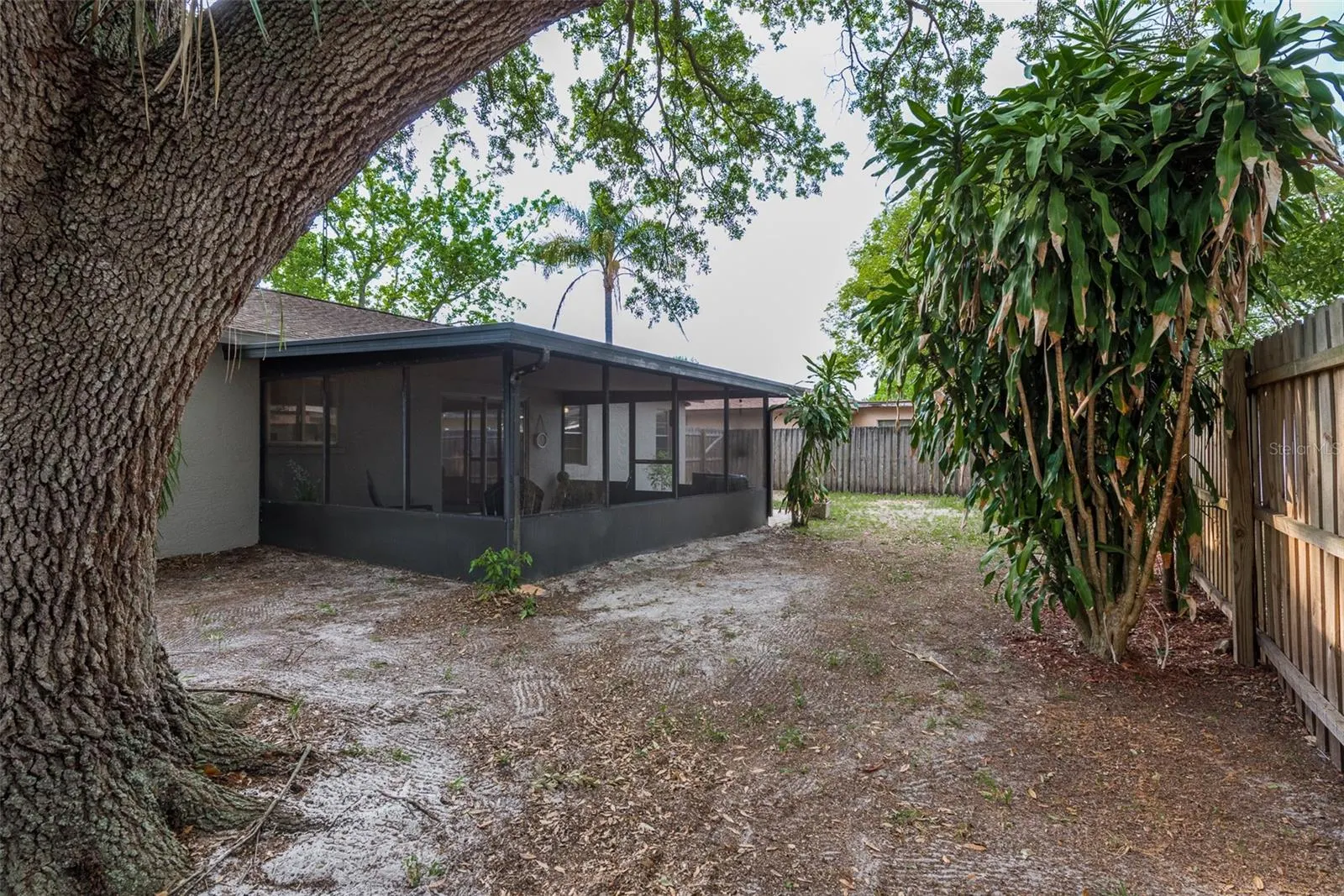 429 EVERGREEN DR